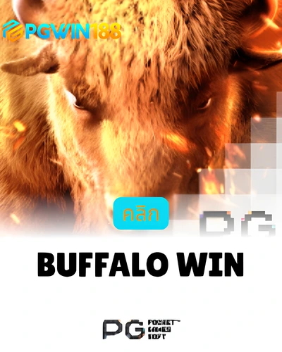 Buffalo Win
