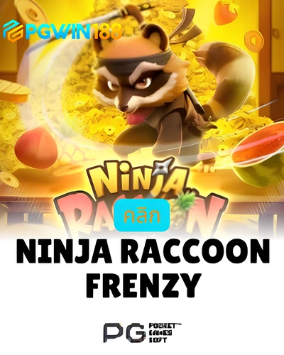 Ninja Raccoon Frenzy