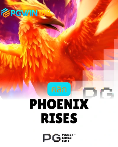 Phoenix Rises